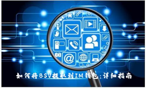 如何将BSV提取到IM钱包：详细指南