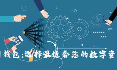区块链公司钱包:选择最适合您的数字资产管理方案
