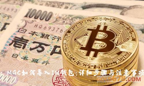: MGC如何导入IM钱包:详细步骤与注意事项