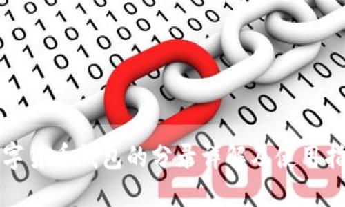 数字货币钱包的分录详解及使用指南