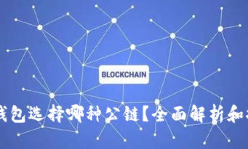 im钱包选择哪种公链？全面解析和推荐