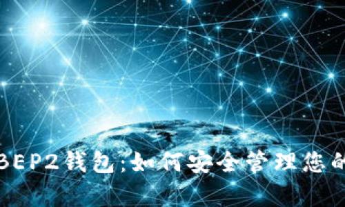 全面解析BEP2钱包:如何安全管理您的数字资产