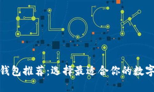 虚拟币200种钱包推荐：选择最适合你的数字资产管理方案