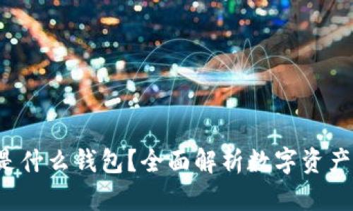 Token.im 是什么钱包?全面解析数字资产钱包的选择