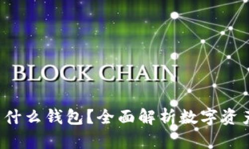 Token.im 是什么钱包?全面解析数字资产钱包的选择