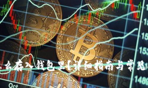 数字币怎么存入钱包里？详细指南与常见问题解答