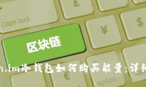 Token.im冷钱包如何购买能量:详细指南