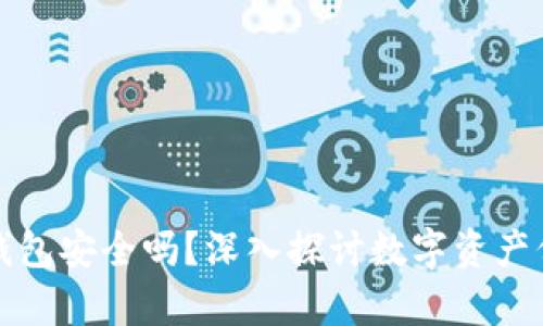 数字货币钱包安全吗？深入探讨数字资产保护的真相