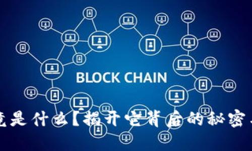 虚拟币究竟是什么？揭开它背后的秘密与实用价值