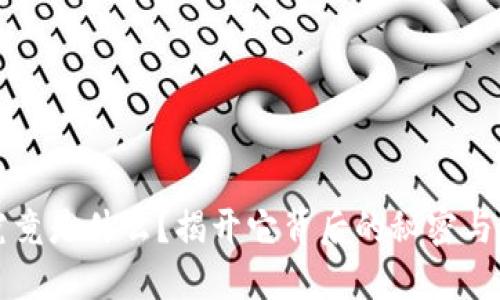 虚拟币究竟是什么？揭开它背后的秘密与实用价值