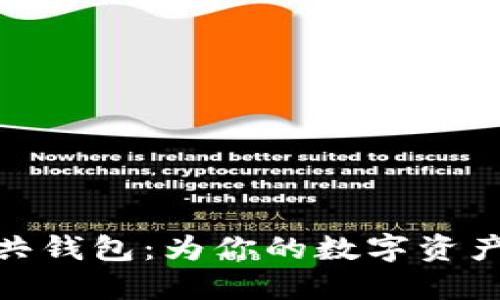 探索区块链公共钱包：为你的数字资产安全保驾护航