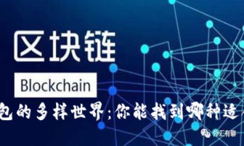 探索虚拟币钱包的多样世界：你能找到哪种适合自己的钱包？