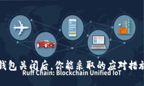 当数字资产钱包关闭后，你能采取的应对措施与保护措施