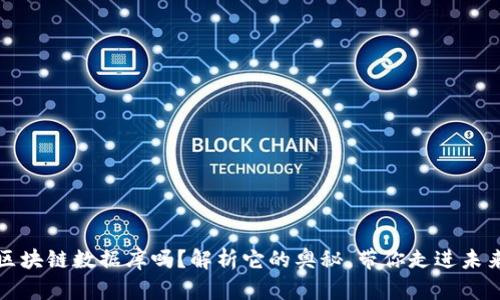 你真的了解区块链数据库吗？解析它的奥秘，带你走进未来科技的世界
