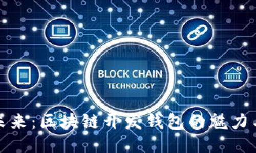 拥抱未来：区块链开发钱包的魅力与挑战