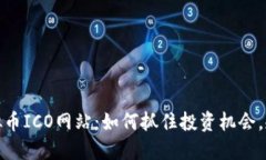 揭秘虚拟币ICO网站：如何