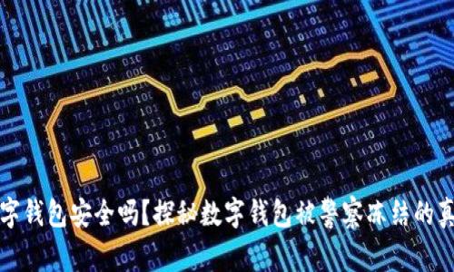 数字钱包安全吗？探秘数字钱包被警察冻结的真相