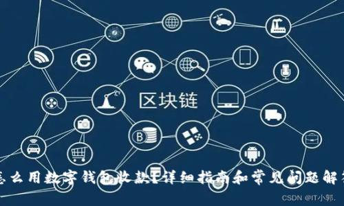 怎么用数字钱包收款？详细指南和常见问题解答